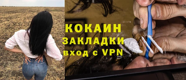 синтетический гашиш Богородицк